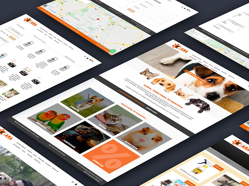 diseño-web-kiara
